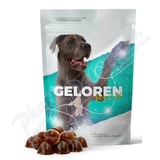 Geloren dog L-XL kloubn viva 60ks el